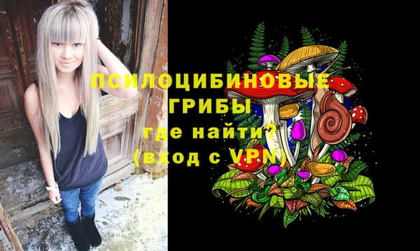 ешки Николаевск-на-Амуре