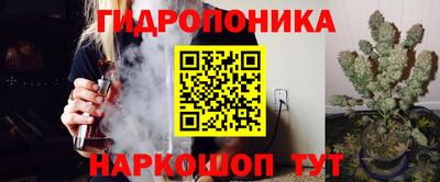 дживик Берёзовский