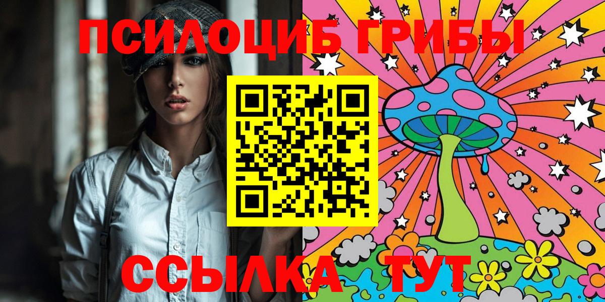 Галлюциногенные грибы Psilocybe  магазин    Рассказово  Вход с VPN 